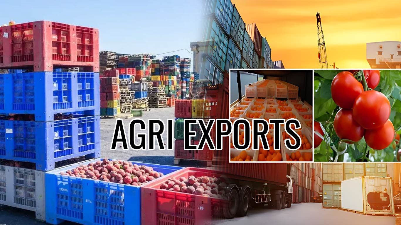 Gezawa Commodity Exchange Market